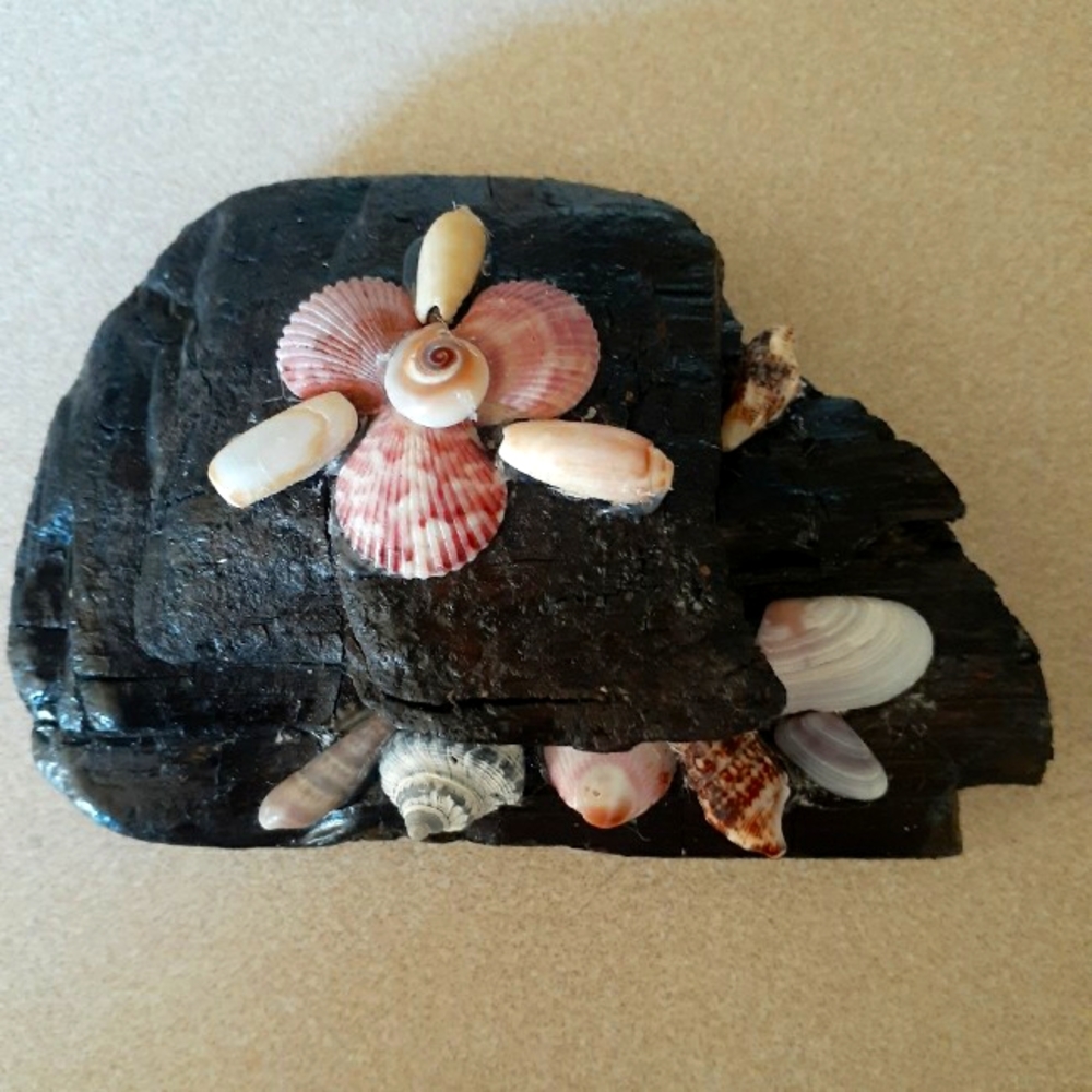 Driftwood and Shells Paperweight